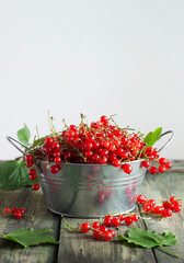 Red currant berries in a metal bowl with handles on a wooden table on a white background