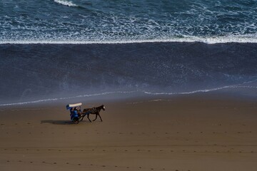 horse cart on the beach