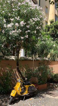 scooter in the street