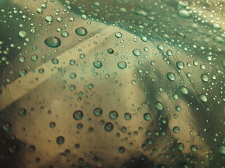 water drops on glass.Water droplets on the green background abstract texture