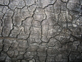 grunge abstract texture. vintage	