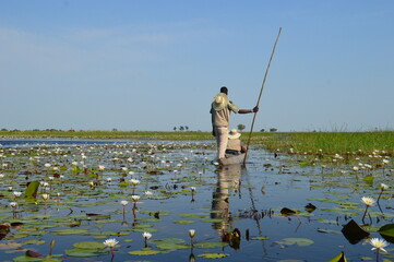 Local fishermen in a mokoro canoe on the Okavango Delta in Botswana
