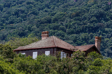 Fototapeta na wymiar Wood house next to nature, surrounded by trees