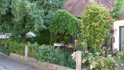 Obraz premium Eingewachsenes Haus / Ingrown house