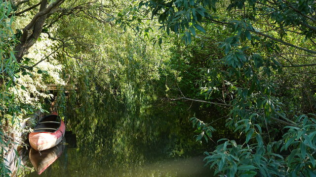 Kanu am Bach / Canoe by the stream
