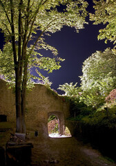 Eingang in eine Burg, Burgtor bei nacht mit gegenlicht und Bäumen mit einer alten Burgmauer
