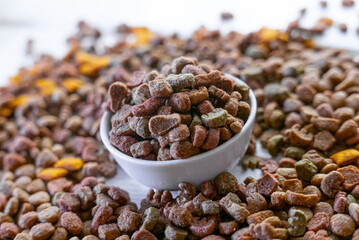 Dry pet food in a white ceramic bowl