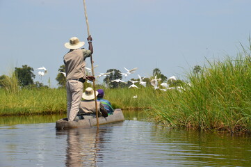 Local fishermen in a mokoro canoe on the Okavango Delta in Botswana