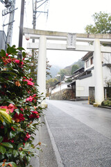 八代市・日奈久温泉神社の鳥居
