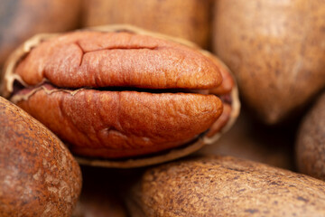 Pecan (Carya illinoinensis) is a species of hickory native to northern Mexico. The seed is an edible nut.
