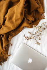 Flat lay, top view lifestyle composition with laptop, eucalyptus branch, ginger plaid on white...