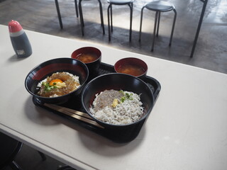 生しらすの沖漬け丼と生しらすと釜揚げしらすのハーフ丼