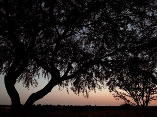  sunset at beautiful park, summer evening 