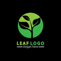 Abstract green leaf logo icon vector design isolated on black background. Landscape design  garden, Plant,spa, nature and ecology vector logo.