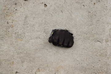 A black-gloved fist punches through the concrete wall. Fist through the concrete. Overcoming obstacles concept.