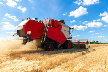 Fototapeta premium Down back view Big powerful industrial combine harvester machine reaping golden ripe wheat cereal field on bright summer or autumn day. Agricultural yellow field machinery landscape background