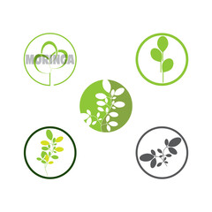 Set Moringa leaf Logo Template