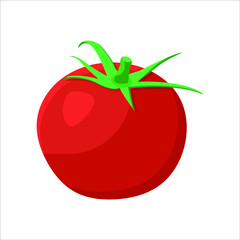Tomato Food Vegetable Fruit Eatable vector artwork illustration