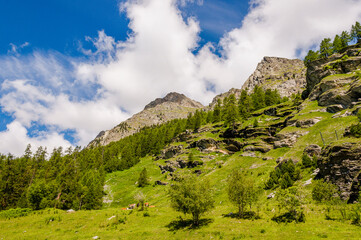 Bernina, Val Bernina, Berninapass, Passhöhe, Wanderweg, Ospizio Bernina, Zugfahrt, Zugreise, Wasserscheide, Lago Bianco, Stausee, Alpen, Graubünden, Sommer, Schweiz