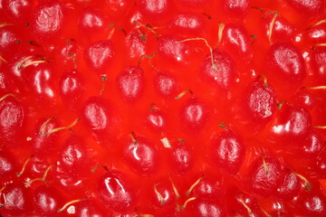 Strawberry Raspberry (Rubus illecebrosus). Fruit Detail Closeup