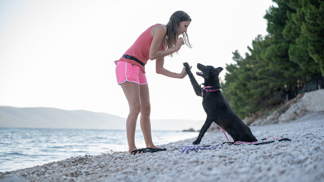 Young Woman Teaching Her Black Shepherd Dog A High Five Gesture