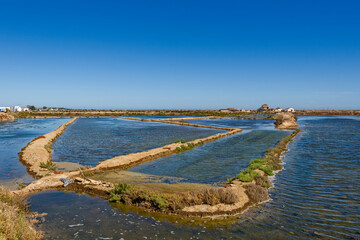 Obraz premium flower of salt, flor de sal in Portuguese in the salt marsh of Tavira, Algarve, Portugal