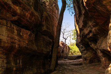 Bhimbetka rock shelters - An archaeological site in central India at Bhojpur Raisen (Near Bhopal) in Madhya Pradesh.