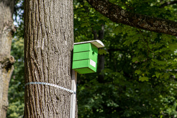 wooden bird house