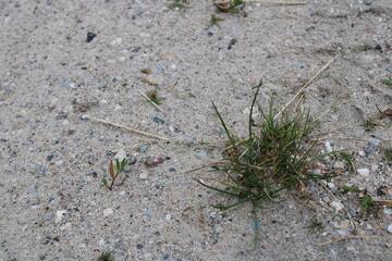 Sandweg