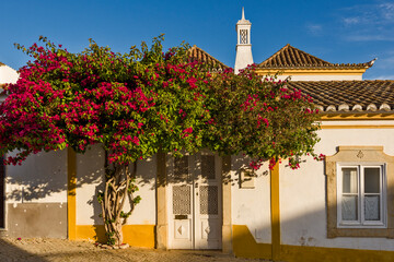 bougainvillea in front of a traditional Algarve house, in Tavira, Portugal