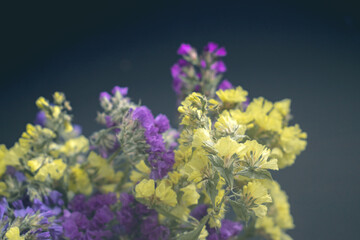 Fototapeta na wymiar Bouquet of yellow and purple small flowers on a dark background. Bouquet of statice sea lavender