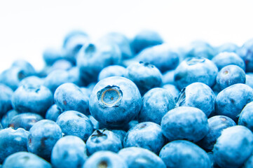 Large blue blueberry. Swamp autumn food berry close-up macro photography
