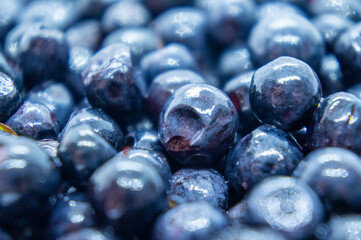 Dark blueberry berry. Swamp autumn food berry close-up macro photography