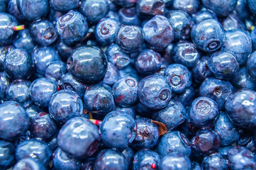 Dark blueberry berry. Swamp autumn food berry close-up macro photography