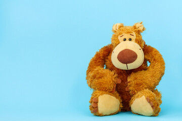 Brown teddy bear on a light blue background.