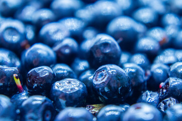 Dark blueberry berry. Swamp autumn food berry close-up macro photography