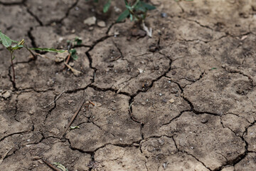 Dry, cracked ground. Sun-dried land.