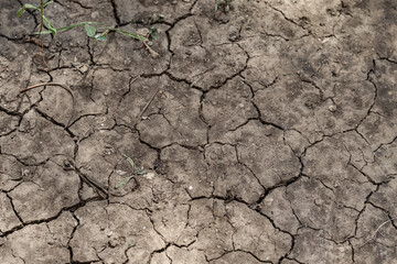 Сracked ground. The sun-dried ground.