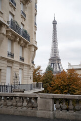 Fototapeta na wymiar Autumn city of Paris and its streets overlooking the Eiffel Tower. Trees with yellow leaves.