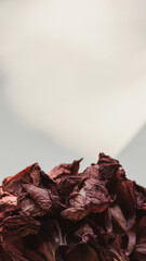 Stories background with dried hibiscus