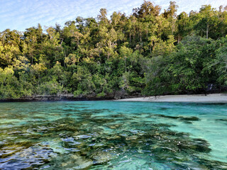 Isolated paridise beach in Raja Ampat, Papua, Indonesia
