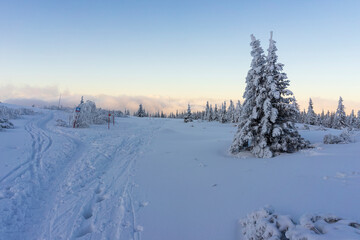 Mountain trail in the snow. Tatry. Poland.