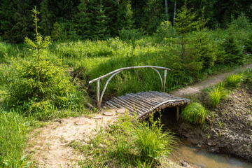 A small wooden bridge over a forest stream at the edge of the forest.