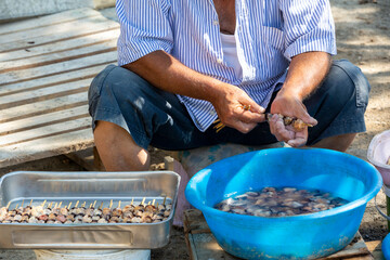 close up hand holding mussel, selective focus
