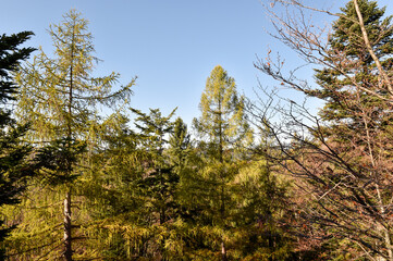 panoramic view of the mountains
