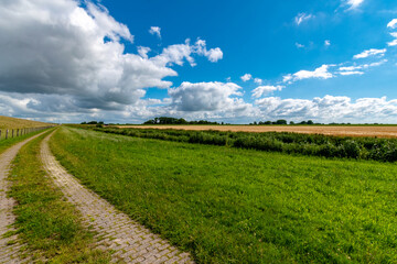 Alluvial land of the dollar in front of the dike on the North Sea in summer with a blue sky
