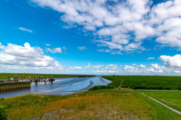 Alluvial land of the dollar in front of the dike on the North Sea in summer with a blue sky