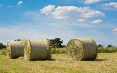 Hay Rolls, Agriculture, Germany © alfotokunst