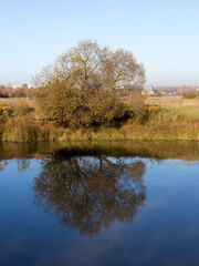 Autumn landscape with a river