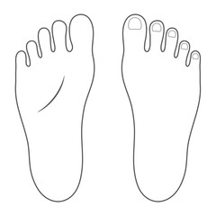 足裏と足の甲のベクターイラスト（モノクロ線画）